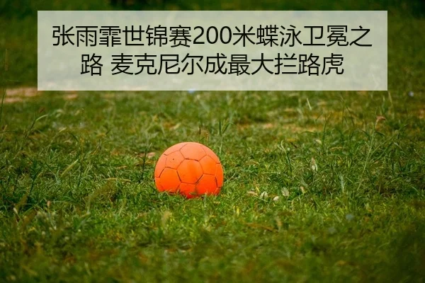 zhang-yu-fei-shi-jin-sai-mi-die-yong-wei-mian-zhi-lu-mai-ke-ni-er-cheng-zui-da-lan-lu-hu-2-203.jpg